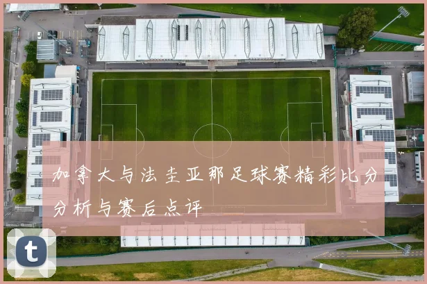 加拿大与法圭亚那足球赛精彩比分分析与赛后点评