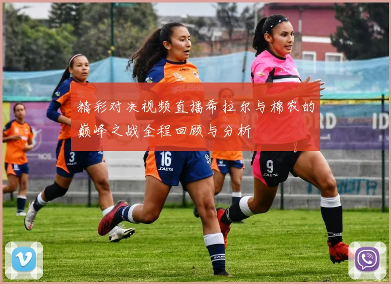 精彩对决视频直播希拉尔与棉农的巅峰之战全程回顾与分析