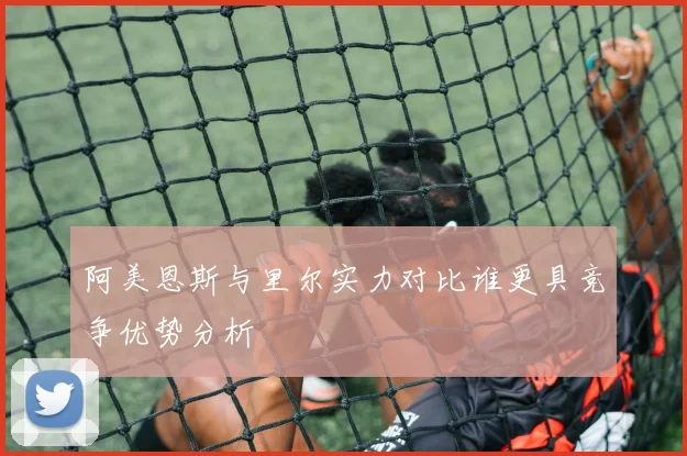 阿美恩斯与里尔实力对比谁更具竞争优势分析