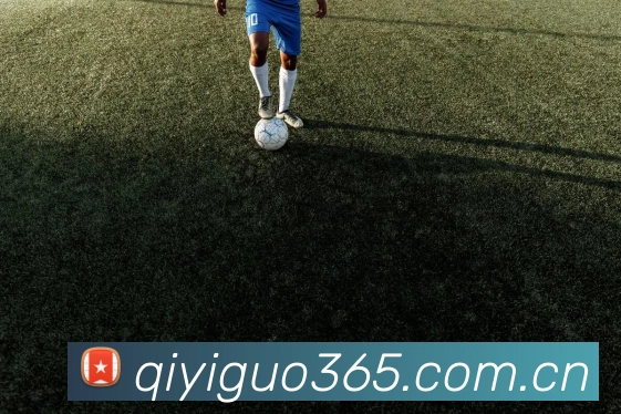 奇异果体育服务体系